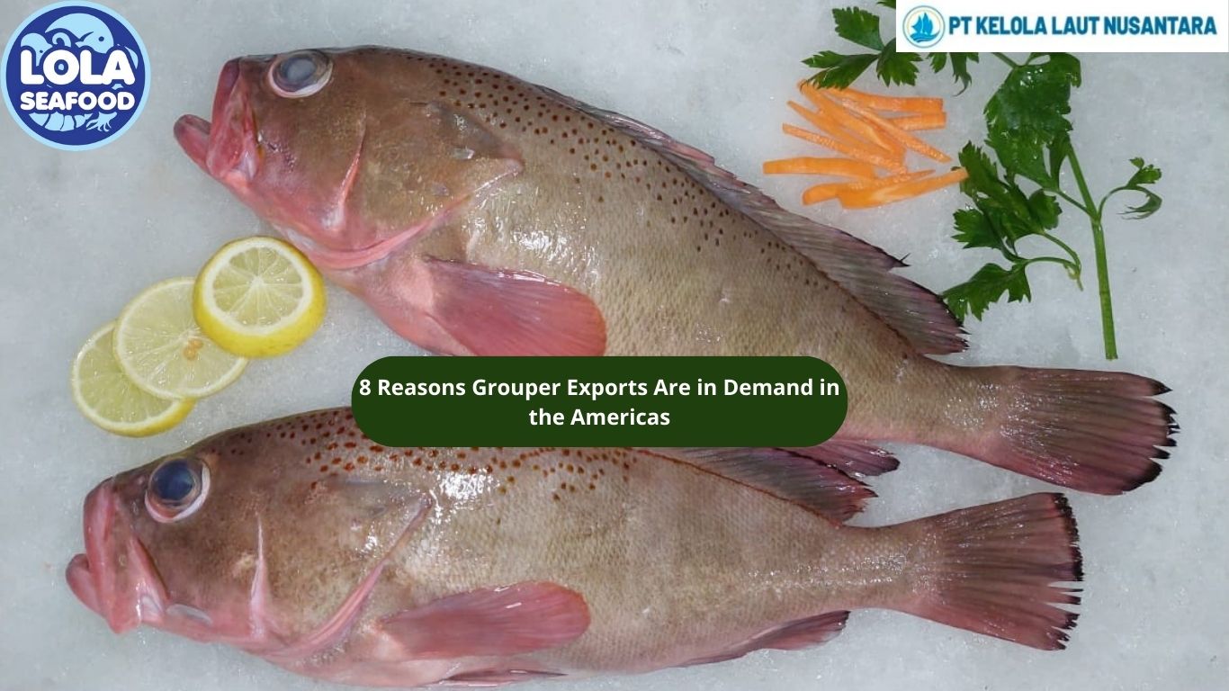 8 Reasons Grouper Exports Are in Demand in the Americas